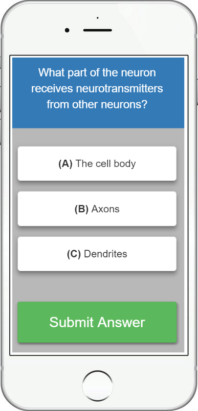 Mobile phone verson of how ClassQuestion works